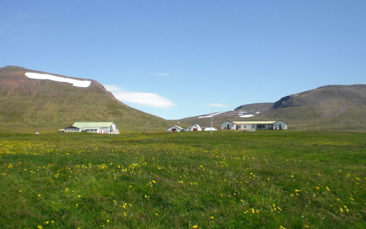 Steinnyjarstathir Skagastrond Exteriör bild