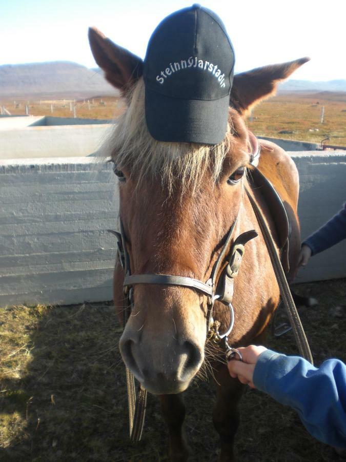 Steinnyjarstathir Skagastrond Exteriör bild